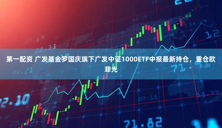 第一配资 广发基金罗国庆旗下广发中证1000ETF中报最新持仓，重仓欧菲光